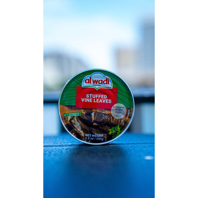 Alwadi , Stuffed Grape Leaves with rice